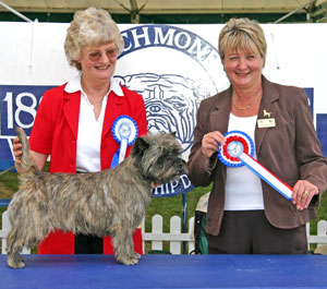 Terrier Group 3rd